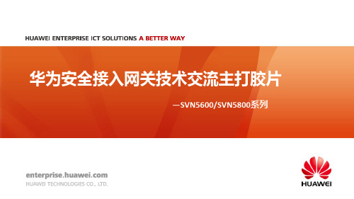华为SVN5600_5800系列安全接入网关技术主打胶片