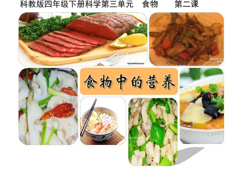 四年级下册科学课件食物中的营养 教科版 PPT名师课件