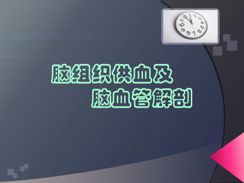 脑组织供血及脑血管解剖ppt课件