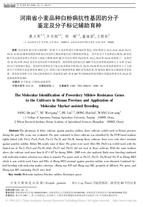 河南省小麦品种白粉病抗性基因的分子鉴定及分子标记辅助育种_桑大军