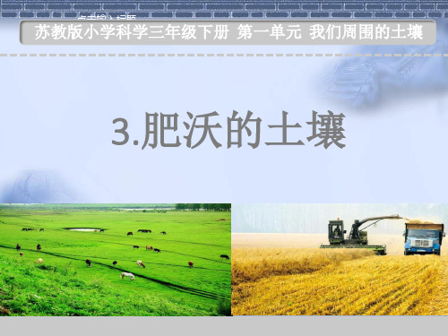 苏教版科学三年级下册3.肥沃的土壤