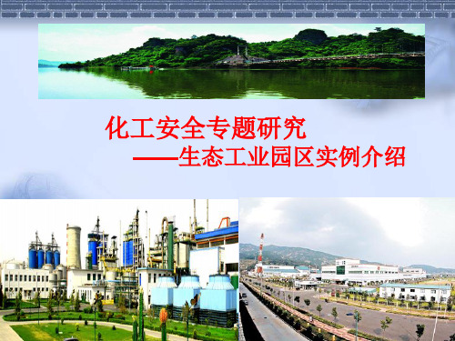 专题研究 生态工业园区实例介绍