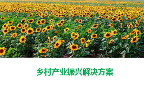 乡村产业振兴解决方案