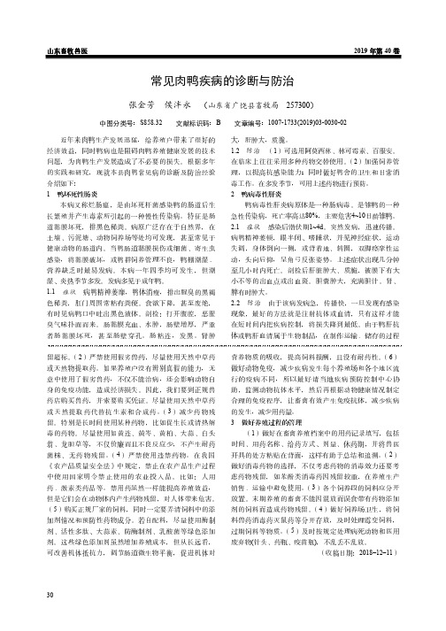 常见肉鸭疾病的诊断与防治