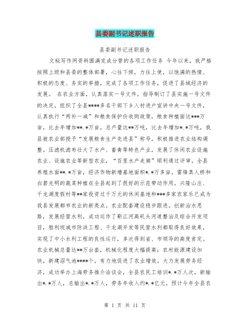 县委副书记述职报告