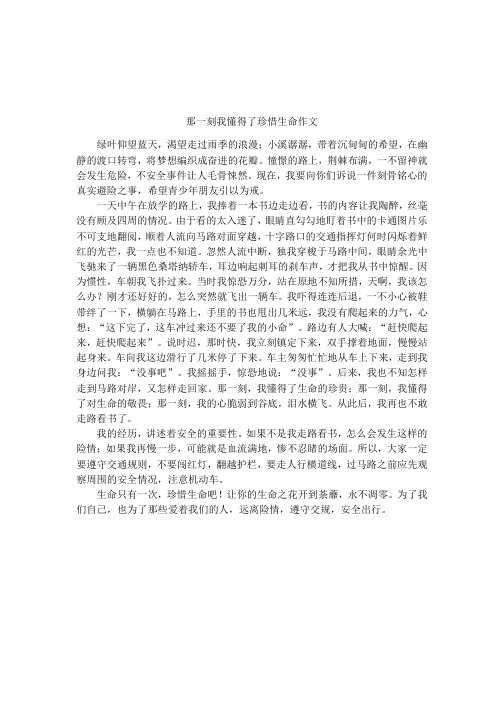 那一刻我懂得了珍惜生命作文