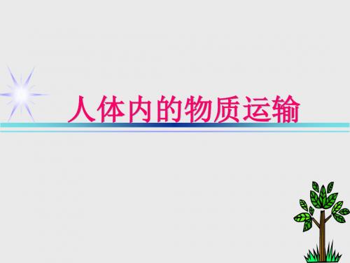 人体内的物质运输