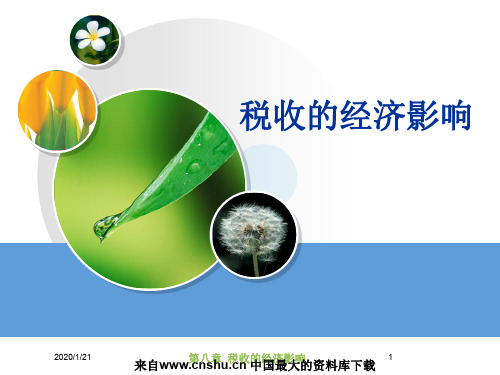 税收的经济影响(PPT 114页)