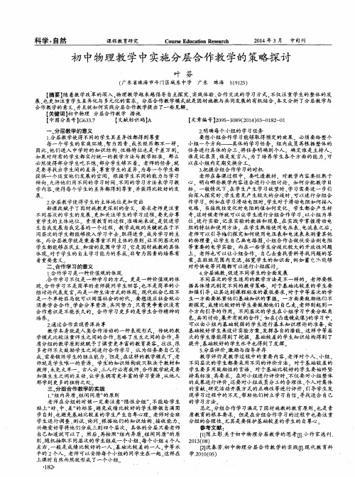 初中物理教学中实施分层合作教学的策略探讨
