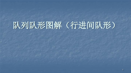 队列队形图解行进间队形ppt课件