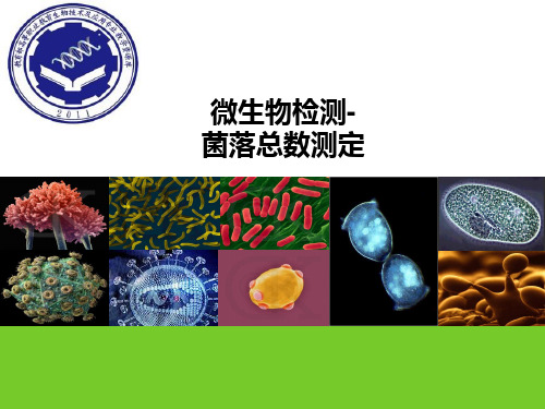 教学课件-菌落总数的测定(精)