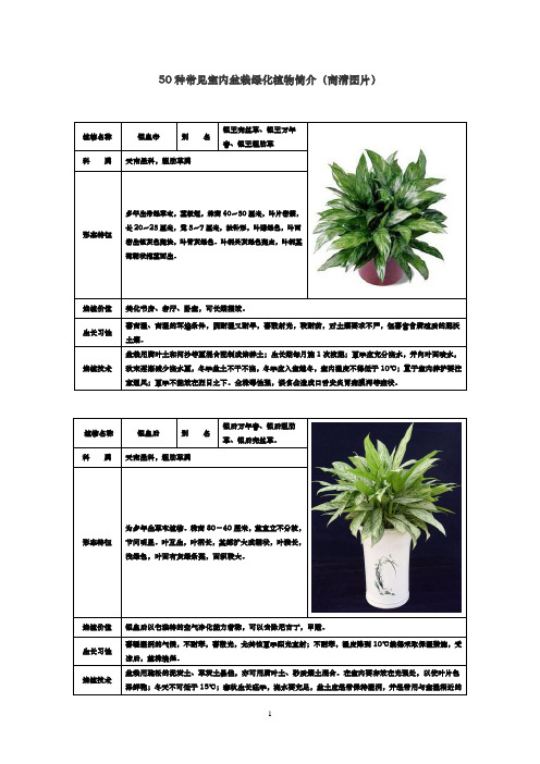 50种常见室内绿化植物介绍(带高清图片)