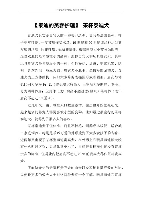 【泰迪的美容护理】 茶杯泰迪犬