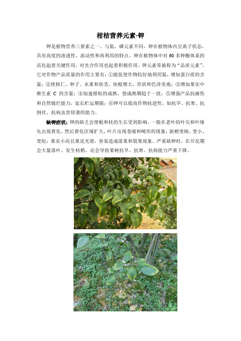 柑桔营养元素-钾-赵金鹏