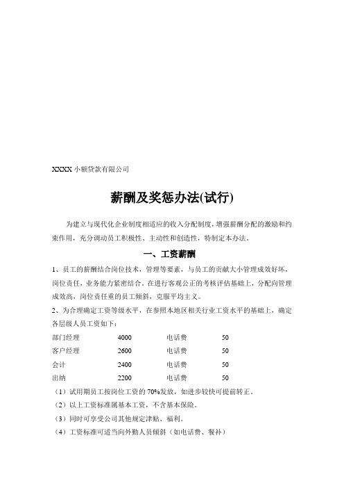 小额贷款公司薪酬及奖惩办法(1)