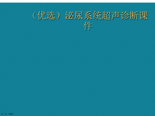 演示文稿泌尿系统超声诊断课件