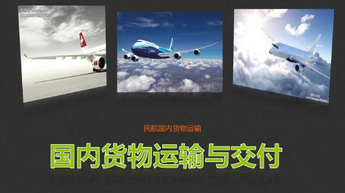 《民航货物运输》项目五