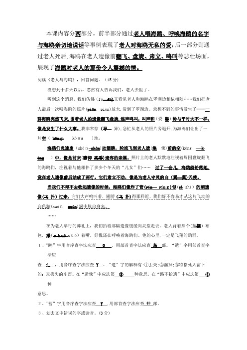 「老人与海鸥课内阅读有答案」