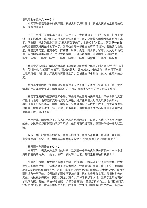 那个暴风雨的下午作文600字