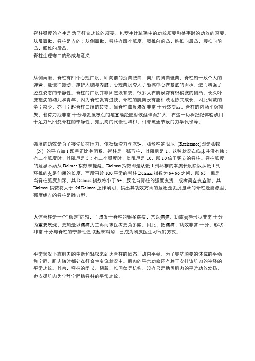 脊柱生理弯曲的形成与意义