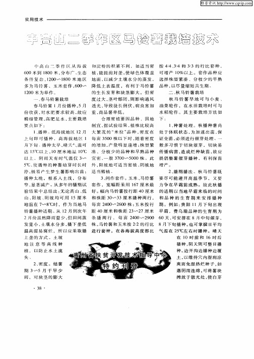 中高山二季作区马铃薯栽培技术