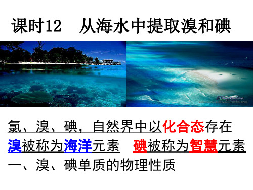 溴碘的提取