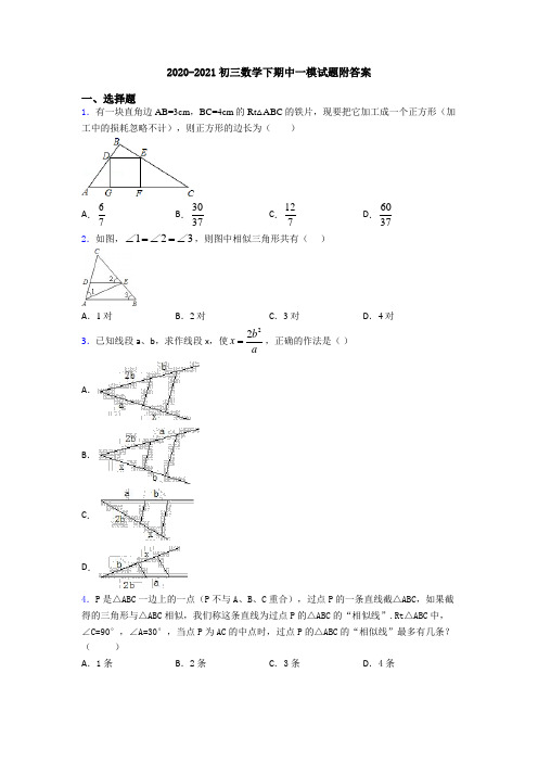 2020-2021初三数学下期中一模试题附答案