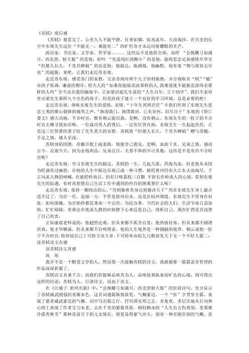 苏轼观后感