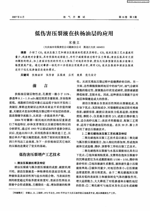 低伤害压裂液在扶杨油层的应用