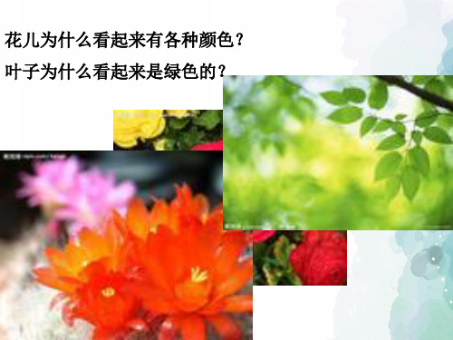人教版物理八年级上册4.5光的色散课件(人教版八年级上)