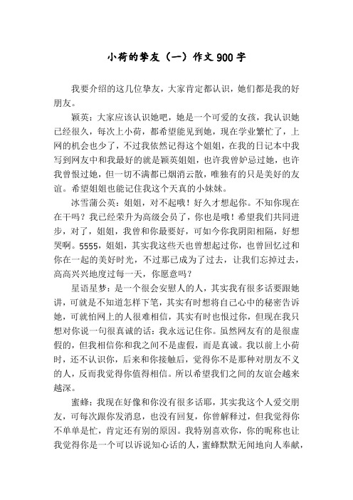 小荷的挚友(一)作文900字
