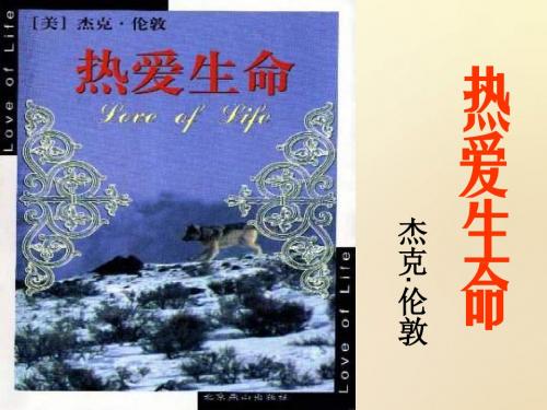 九年级语文下册 8《热爱生命》课件 (新版)新人教版