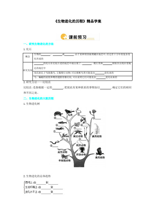 人教版八年级生物下册 《生物进化的历程》精品学案