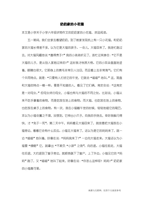 小学六年级状物作文：奶奶家的小花猫