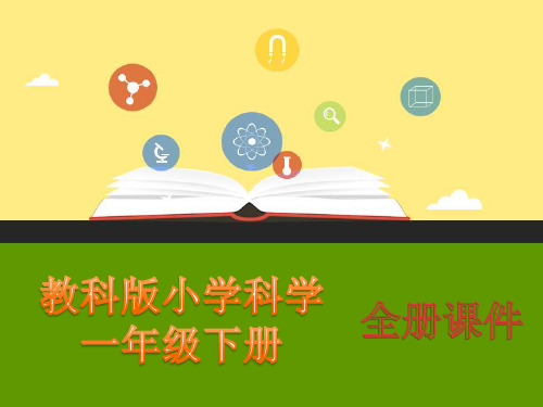 教科版一年级《科学》下册全册PPT精品课件
