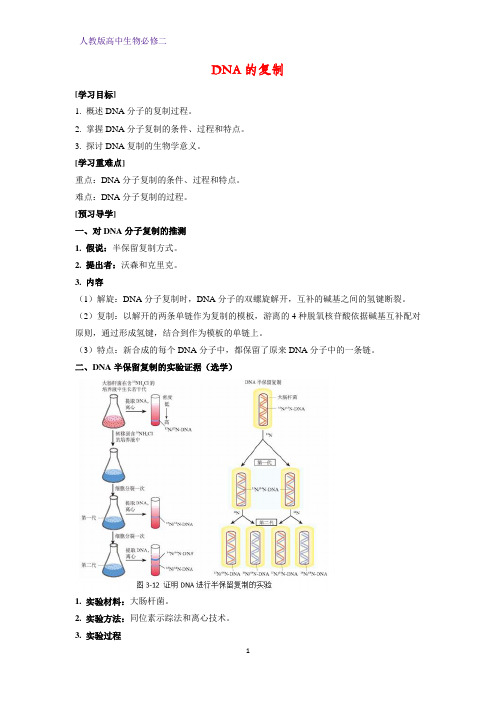 高中生物必修二学案18：3.3 DNA的复制
