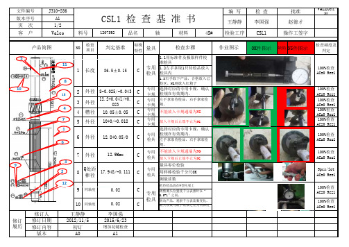 J310-286 CSL1 1207392 CSL1检查基准书