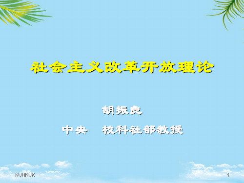 【精】社会主义改革开放理论最全版