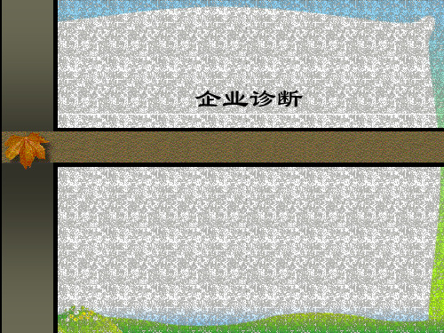 企业诊断企业诊断概述(ppt41)