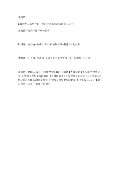 血液循环图片版