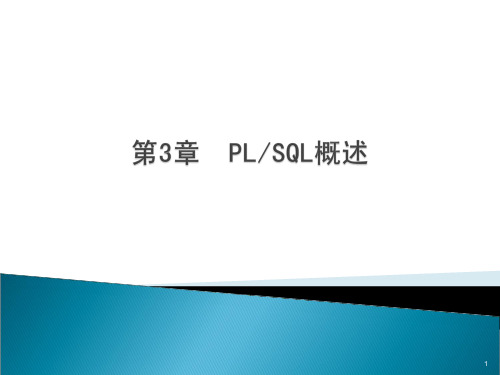 第3章_PLSQL概述
