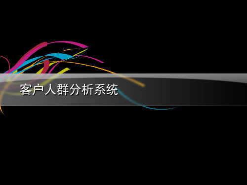 客户人群分析系统