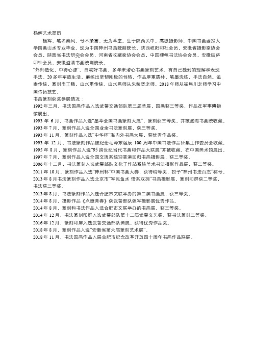 杨辉艺术简历