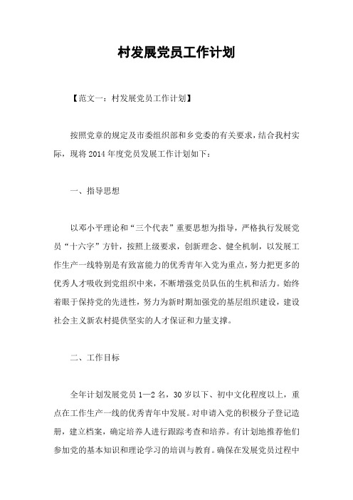 村发展党员工作计划