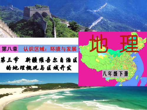 湘教版地理八年级下册  8.3新疆的地理概况与区域发展 课件3