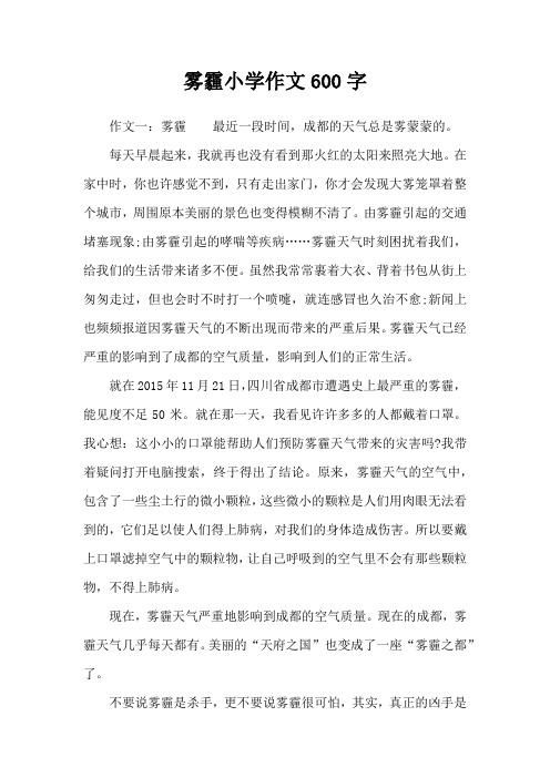 雾霾小学作文600字