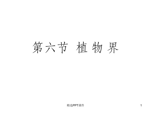 北京版生物八下植物界ppt课件