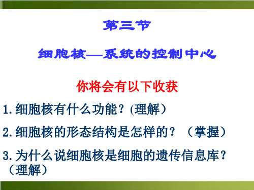 人教版生物必修一《细胞核——系统的控制中心》授课优秀PPT