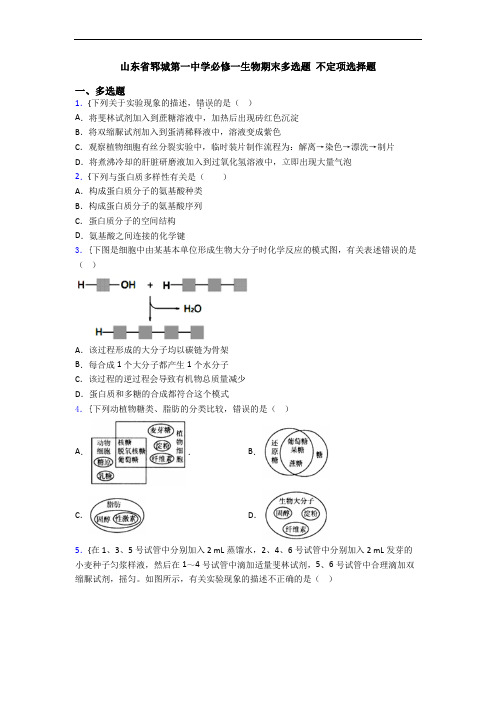 山东省郓城第一中学必修一生物期末多选题 不定项选择题