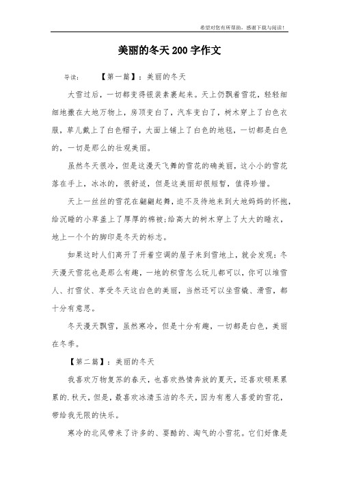 美丽的冬天200字作文